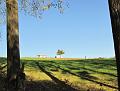 25ste Herfstwandeling van Armand en Judith op 23-10-2011 (47)